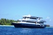 Stingray Boat Beach view